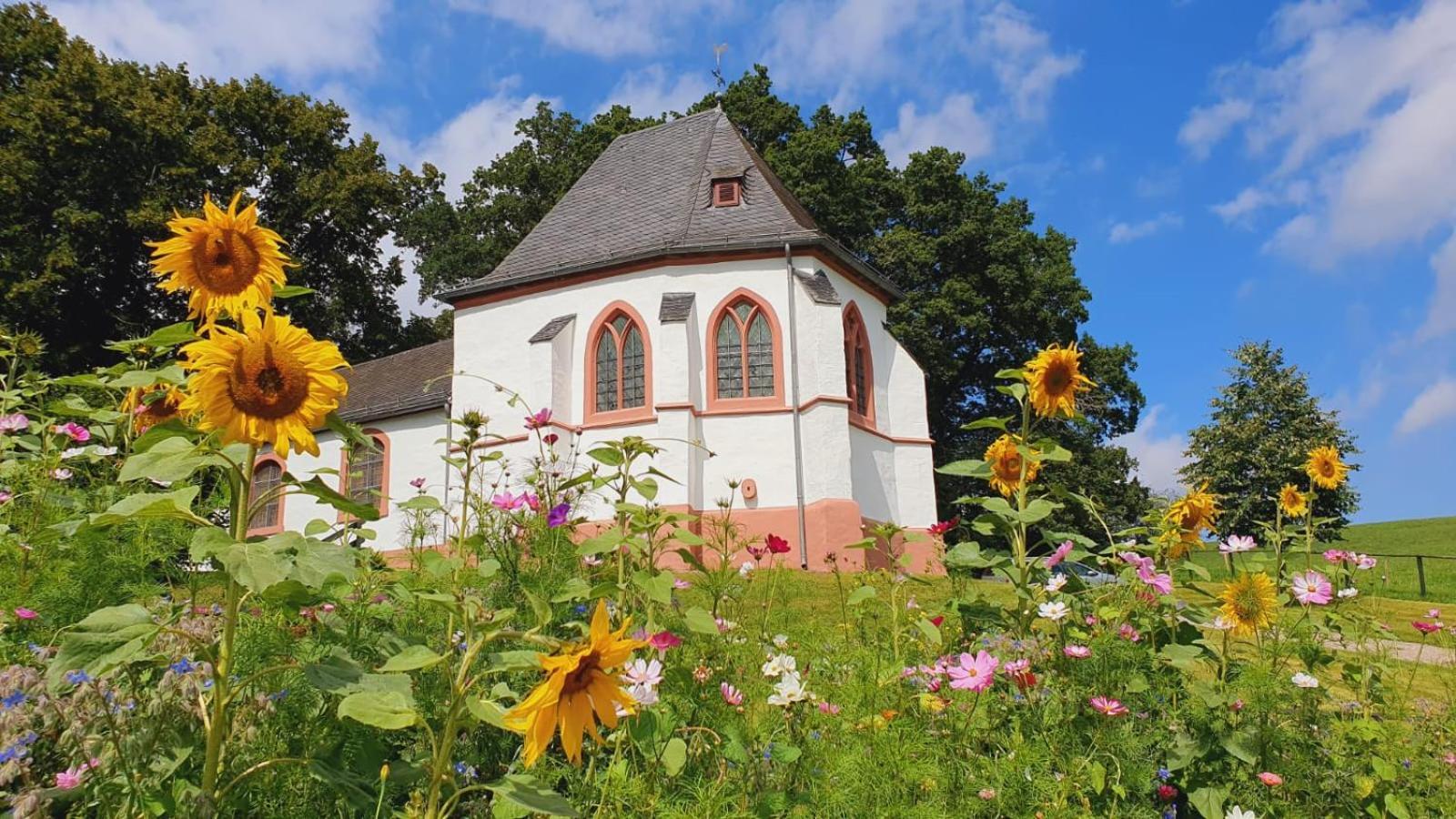 Ferienhaus Deine Zeit Mit Sauna Und Wallbox Nettersheim Exterior photo